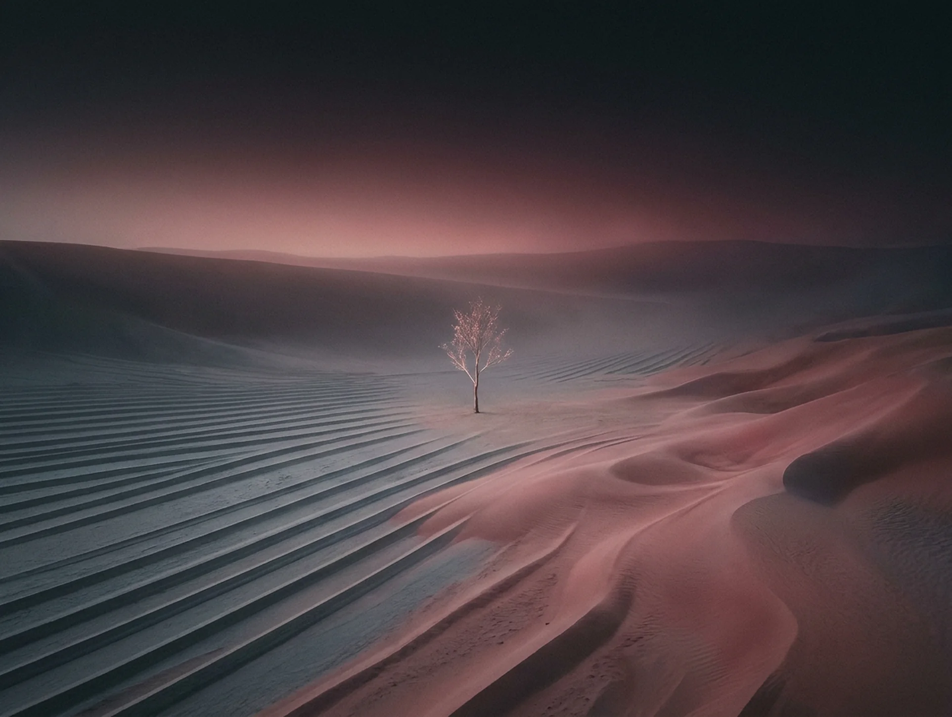 A single glowing tree where rigid parallel grid lines melt into soft organic dunes, symbolising the shift from manual spreadsheets to smart automatic scheduling
